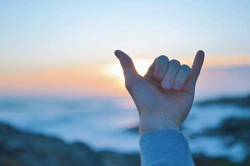 hang loose selective focus photography of person's right hand hand signal